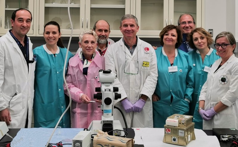 xenogriss laboratorio nasa